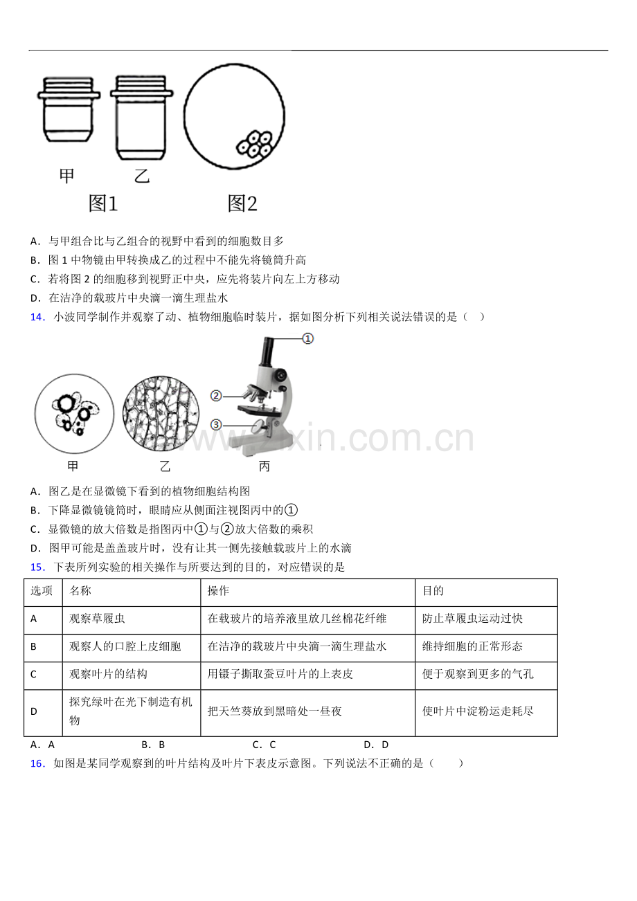 生物七年级上册期末生物期末试题及答案解答.doc_第3页