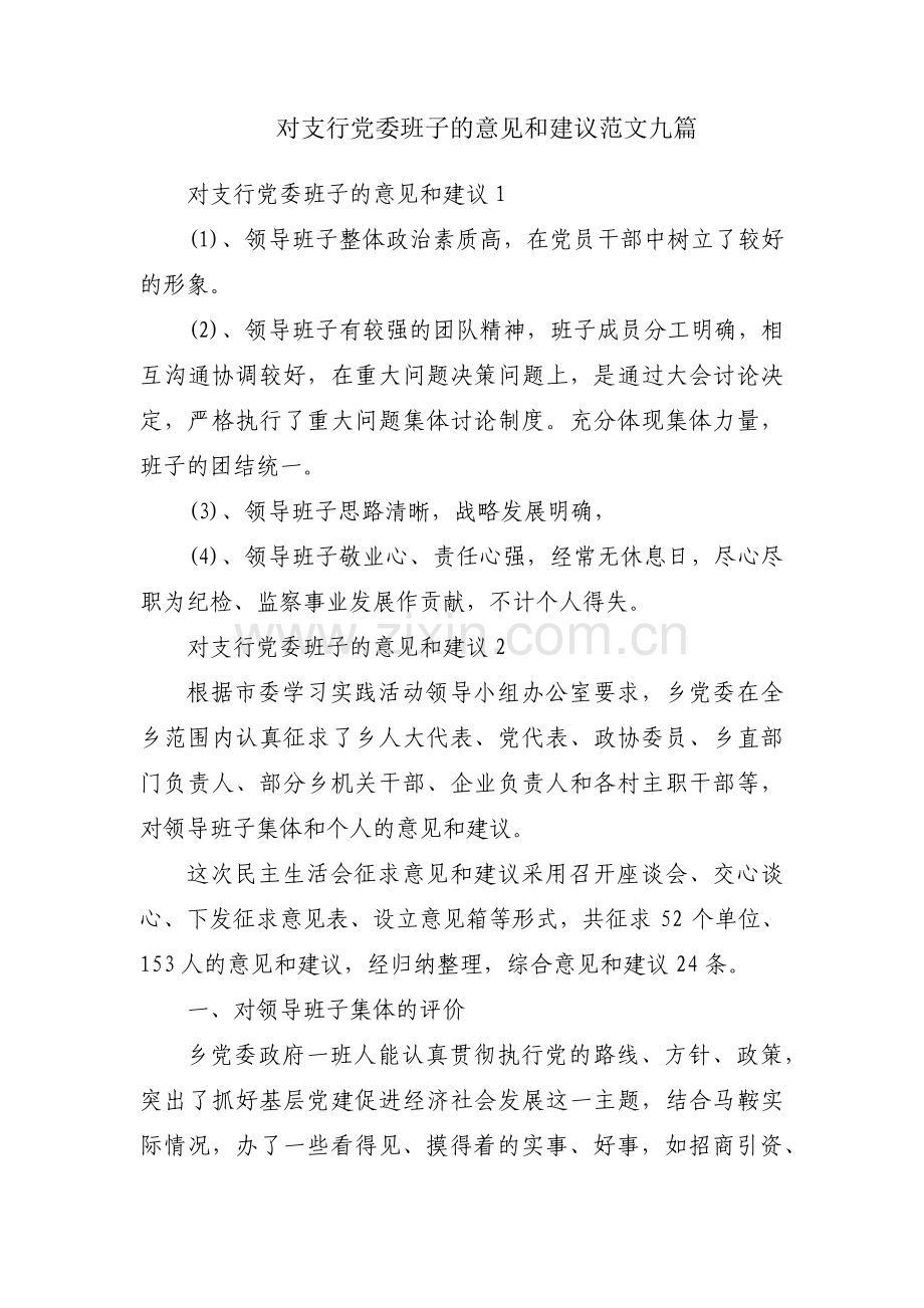 对支行党委班子的意见和建议范文九篇.pdf_第1页