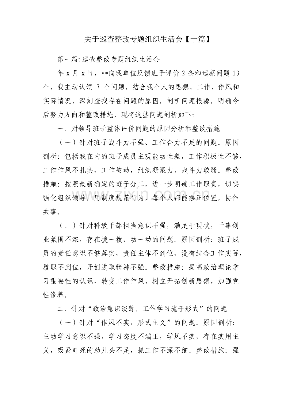 关于巡查整改专题组织生活会【十篇】.pdf_第1页