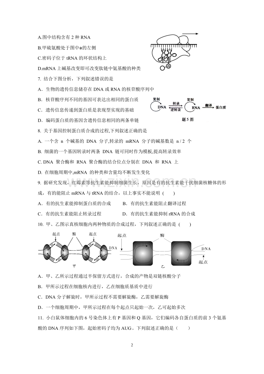 市级公开课基因指导蛋白质的合成练习题.docx_第2页