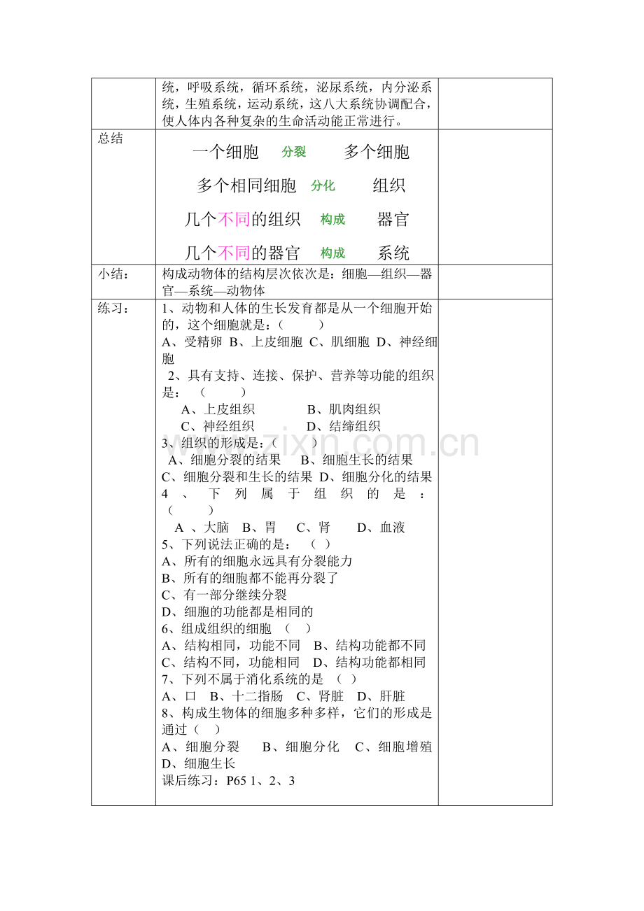 第三章第一节动物体的结构层次教案.doc_第2页