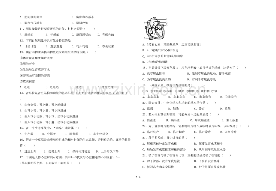 人教版七年级上册《生物》期末测试卷(含答案).doc_第2页