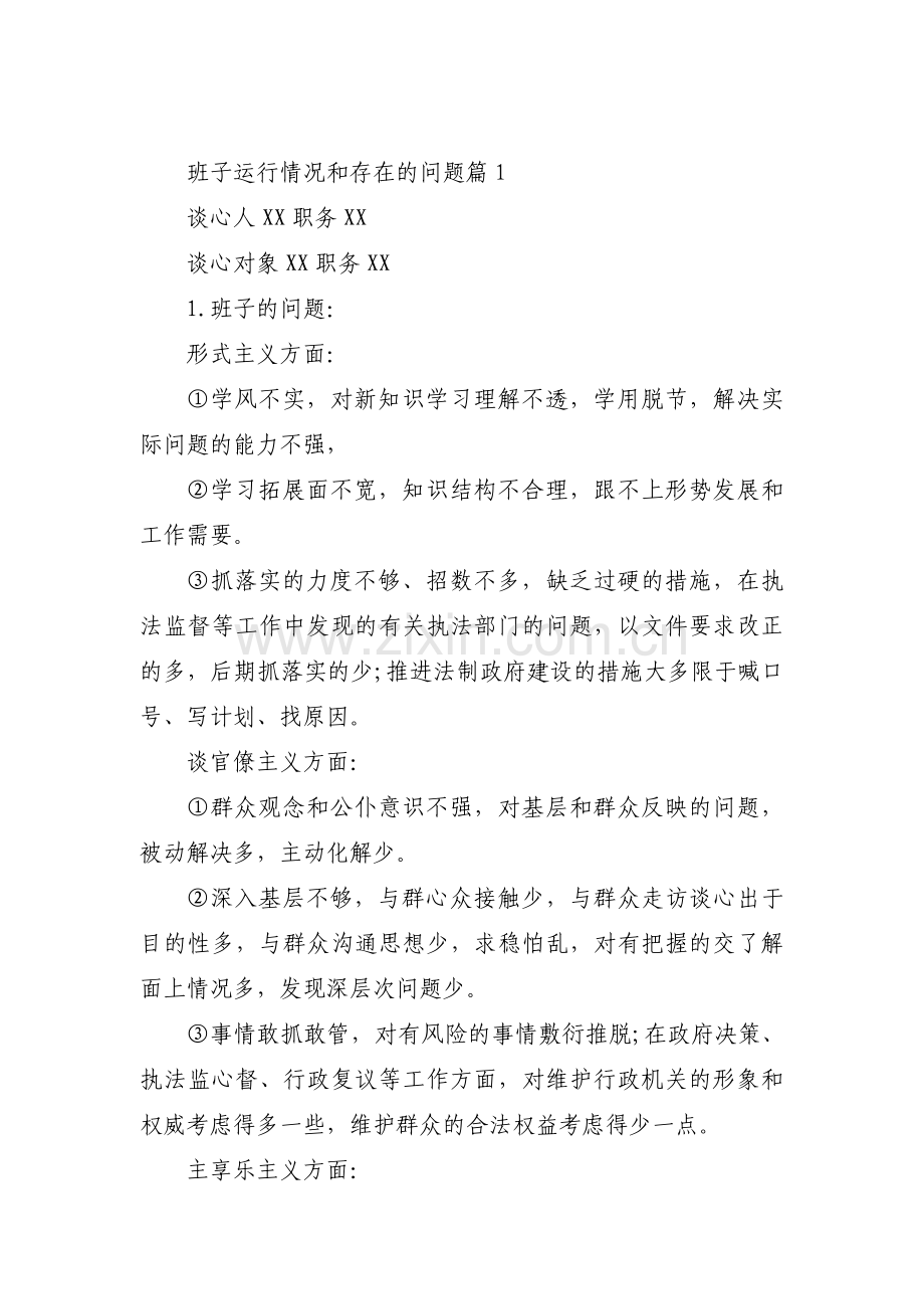 班子运行情况和存在的问题范文十篇.pdf_第1页