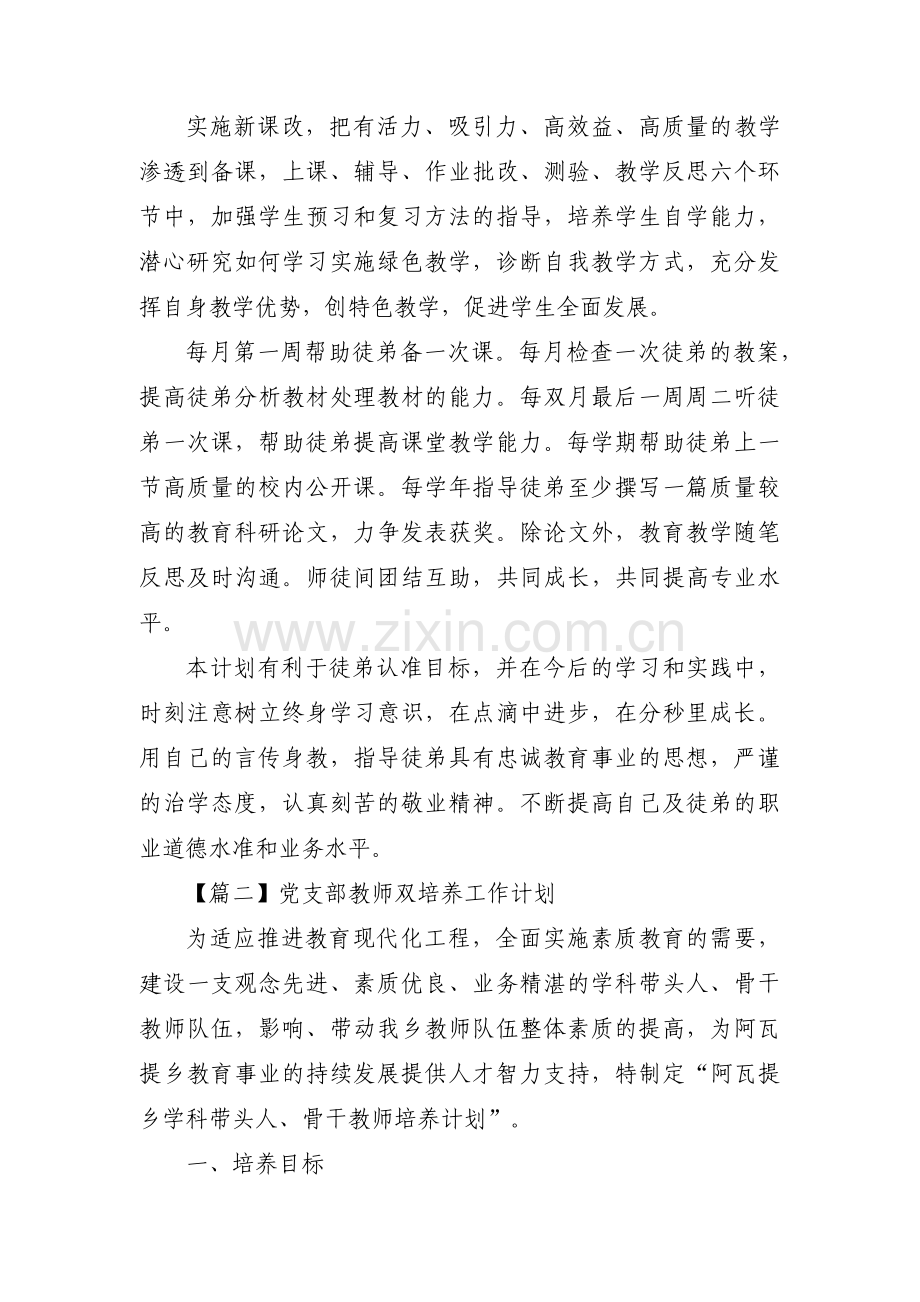 党支部教师双培养工作计划十一篇.pdf_第2页