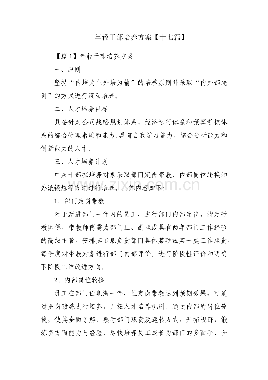 年轻干部培养方案【十七篇】.pdf_第1页