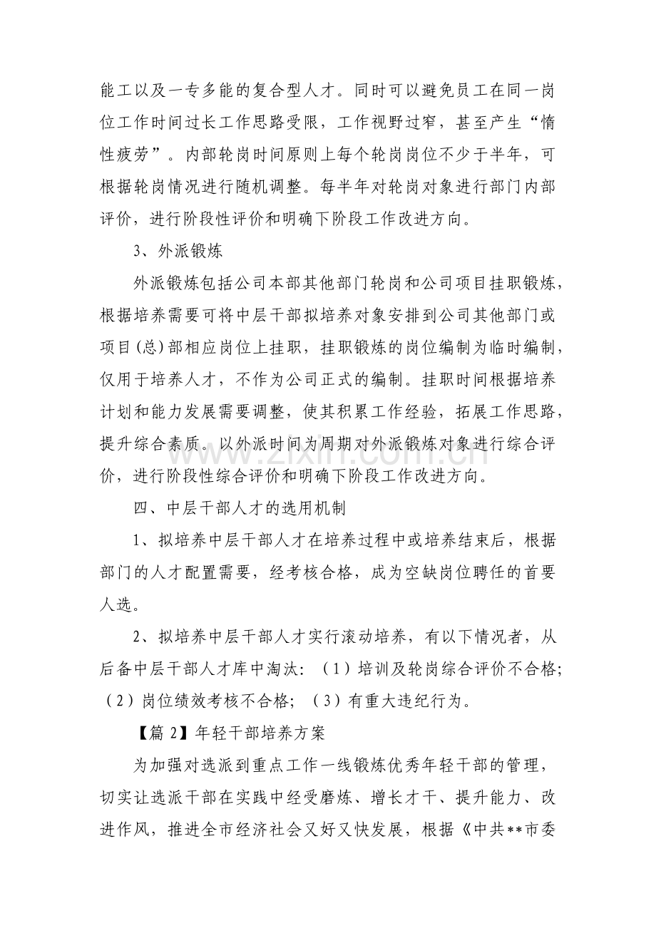 年轻干部培养方案【十七篇】.pdf_第2页