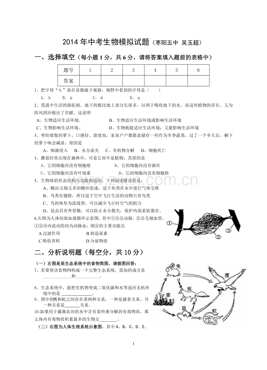 生物模拟试题.doc_第1页