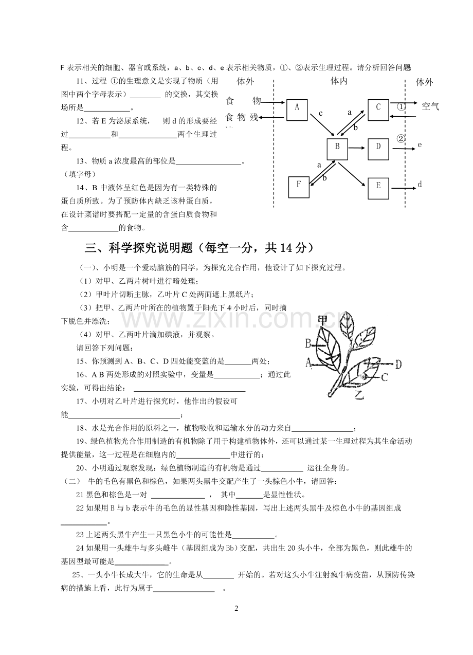 生物模拟试题.doc_第2页