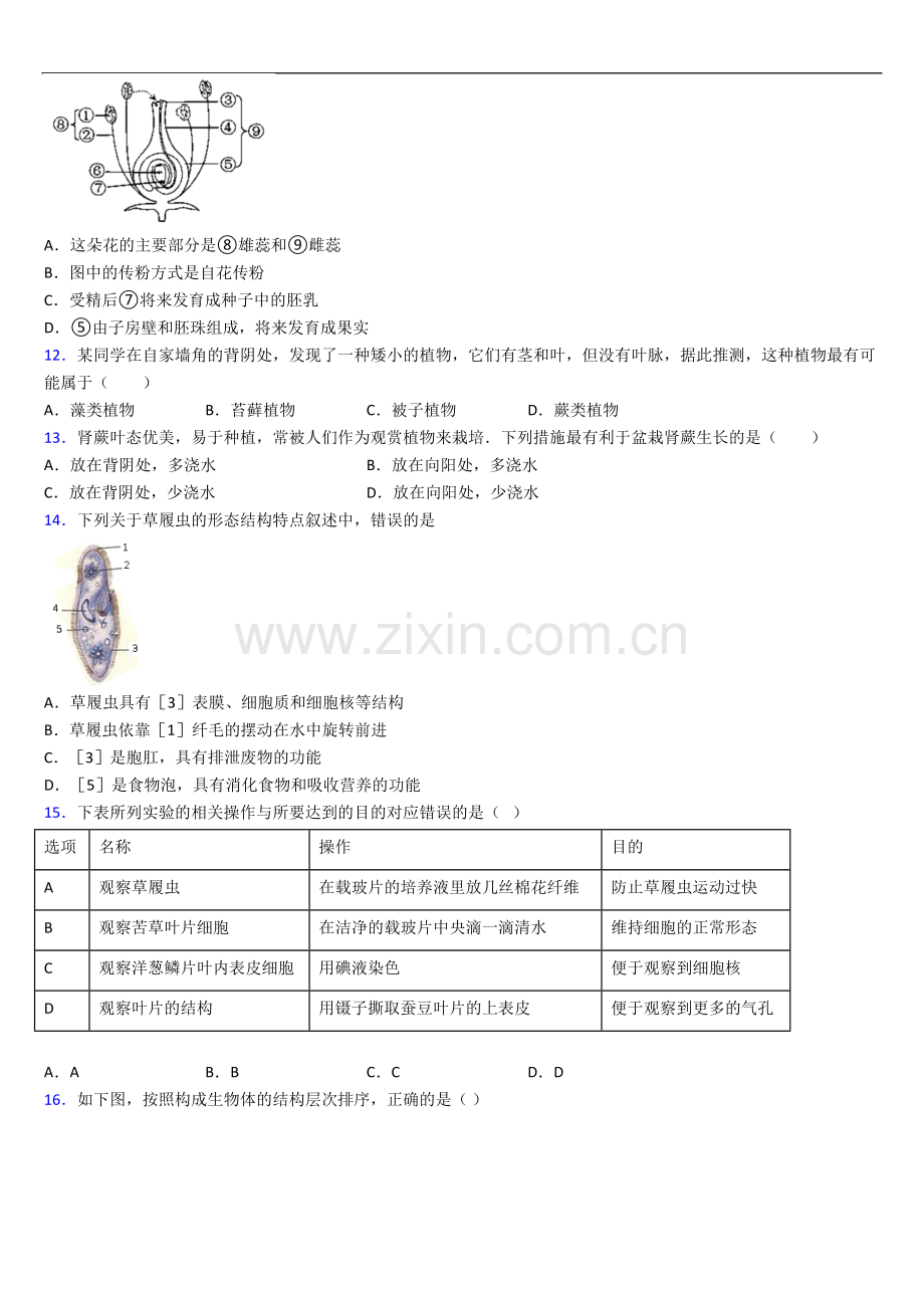 人教版七年级生物上册期中期中试卷及答案.doc_第3页