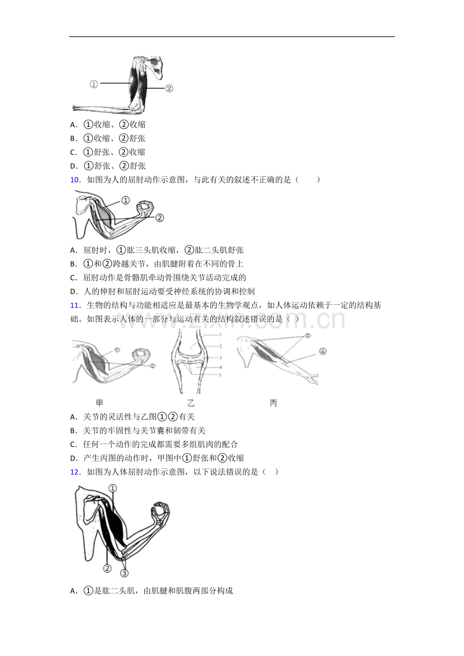 八年级上学期生物期中试卷及答案.doc_第2页