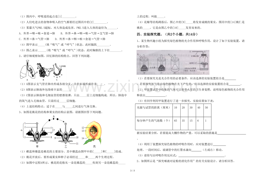 苏教版七年级《生物》上册期末考试题(参考答案).doc_第3页