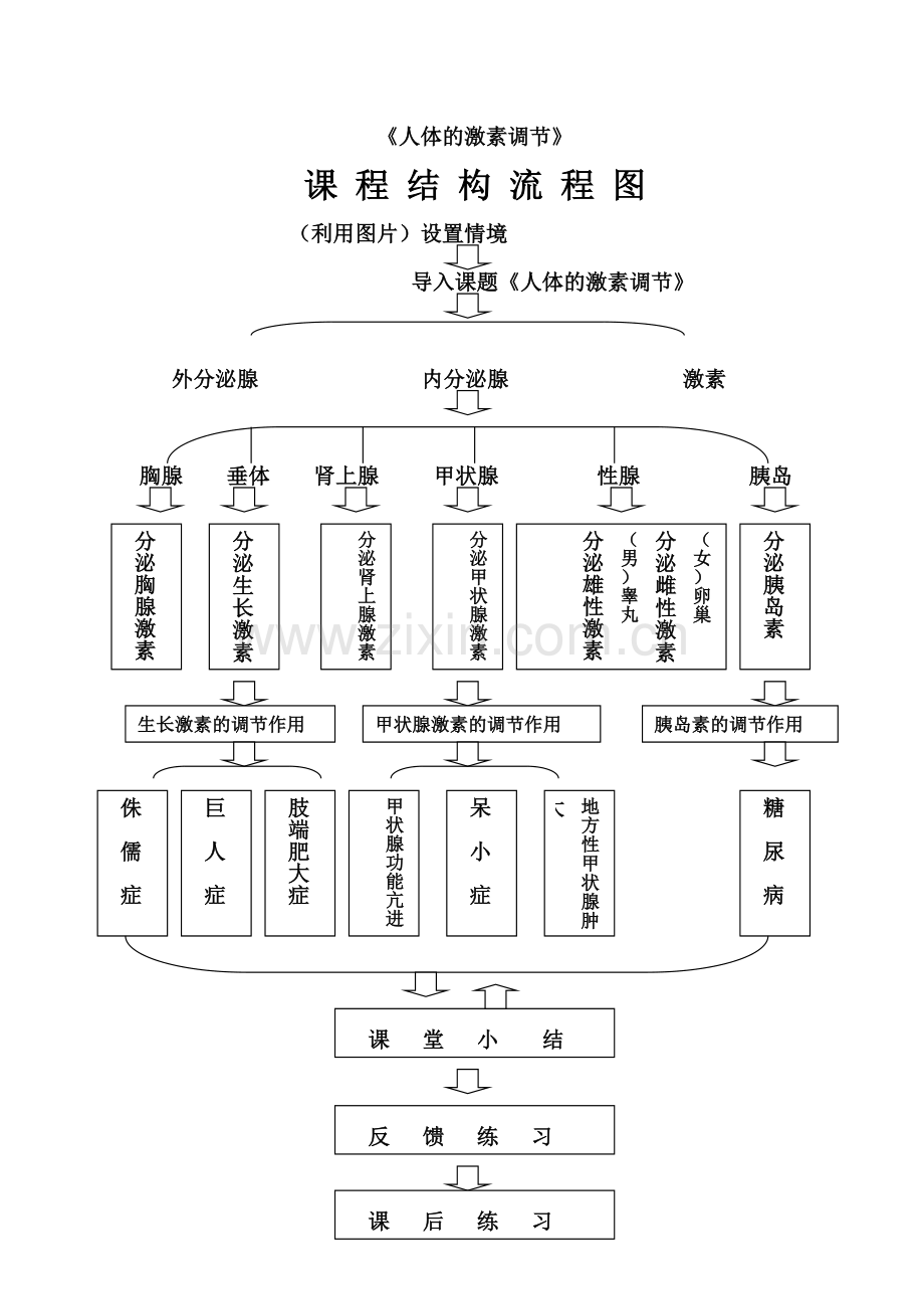 人体的激素调节课程结构流程图(定稿).doc_第1页