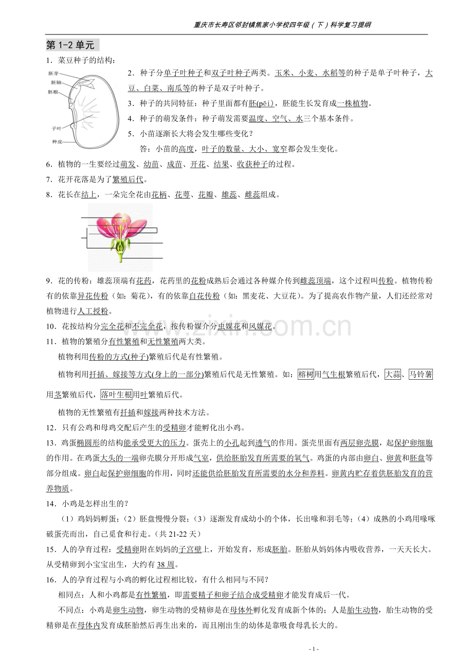 湘版小学科学四年级下册复习提纲.doc_第1页