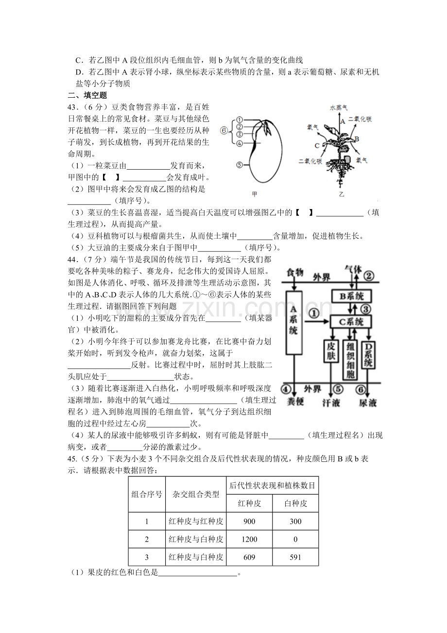 中考生物模拟考试.doc_第2页