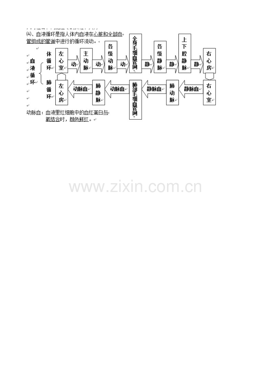 血液循环的结构图.doc_第1页