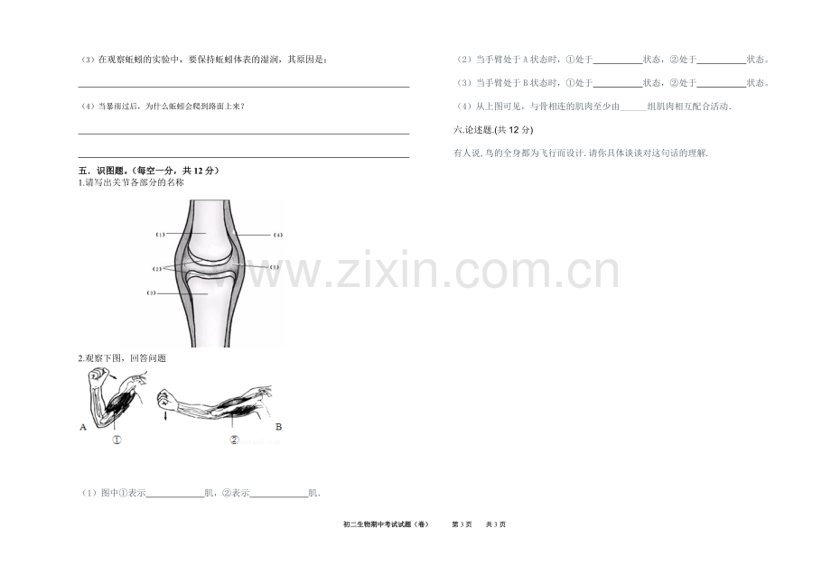 初二生物期中试卷.doc_第3页