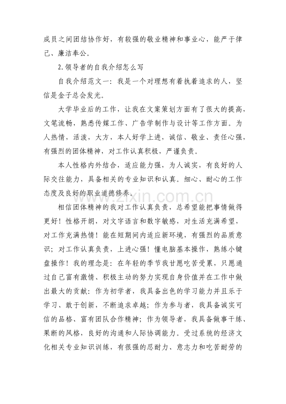 为班子成员画像范例范文(19篇).pdf_第2页