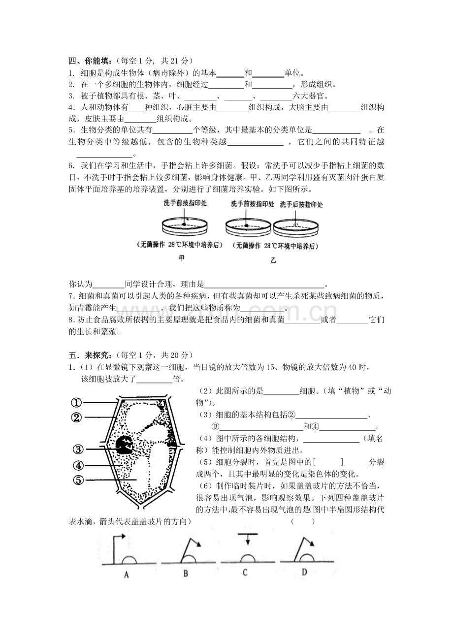 七年级生物期末试卷.doc_第3页