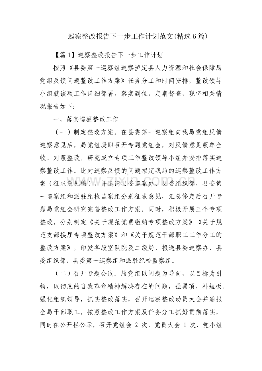 巡察整改报告下一步工作计划范文(6篇).pdf_第1页