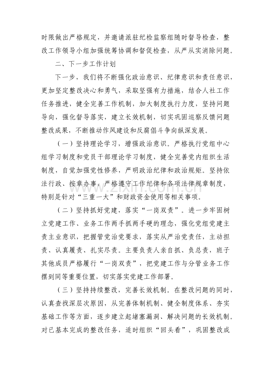 巡察整改报告下一步工作计划范文(6篇).pdf_第3页