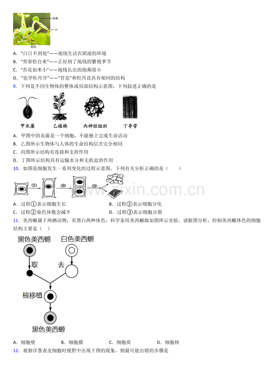 惠州市人教版七年级上学期期末生物试题.doc_第2页