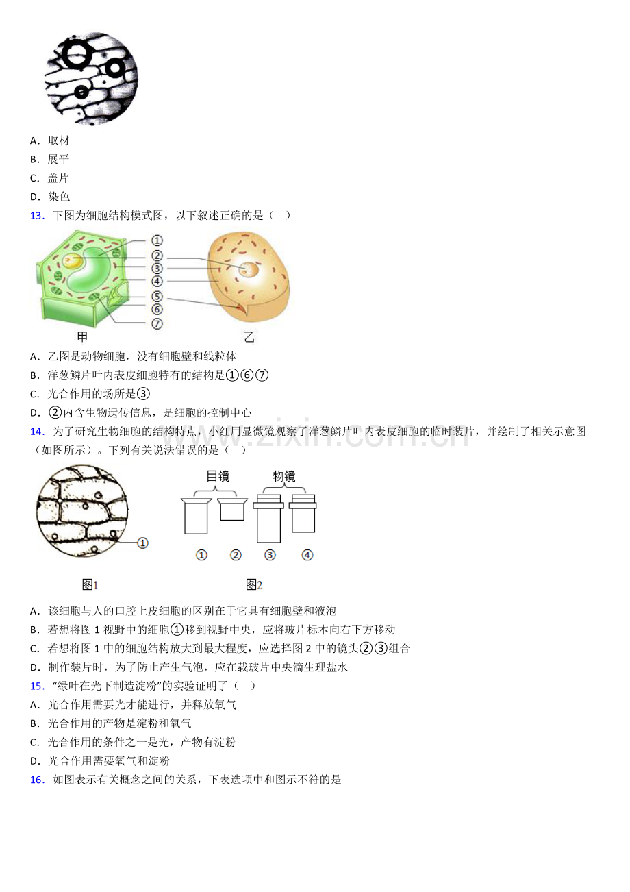 惠州市人教版七年级上学期期末生物试题.doc_第3页