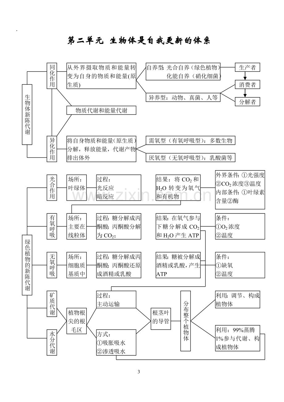 高中生物所有知识点详细总结.doc_第3页