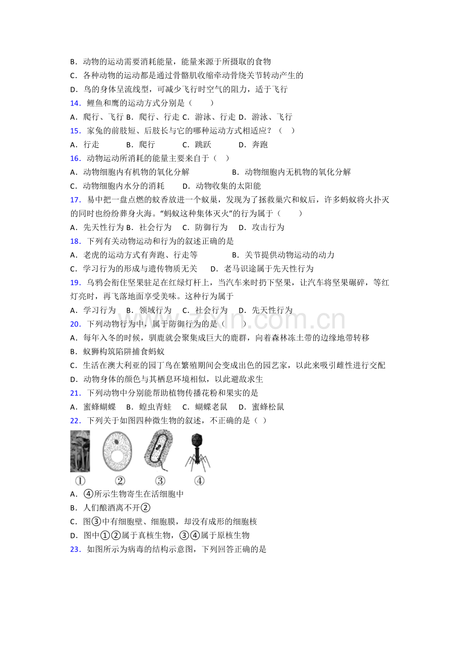 上海金杨中学生物八年级上册期末试卷含答案.doc_第3页