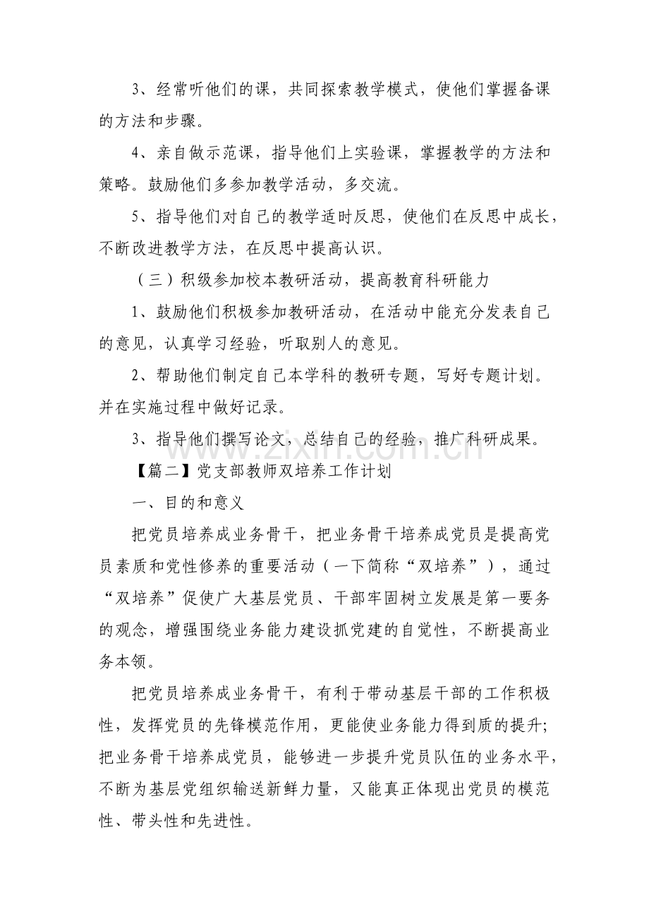 党支部教师双培养工作计划5篇.pdf_第2页