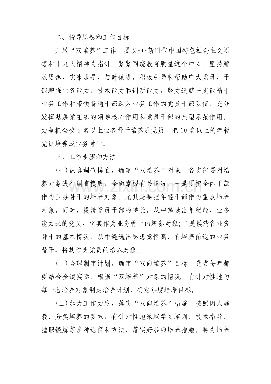 党支部教师双培养工作计划5篇.pdf_第3页