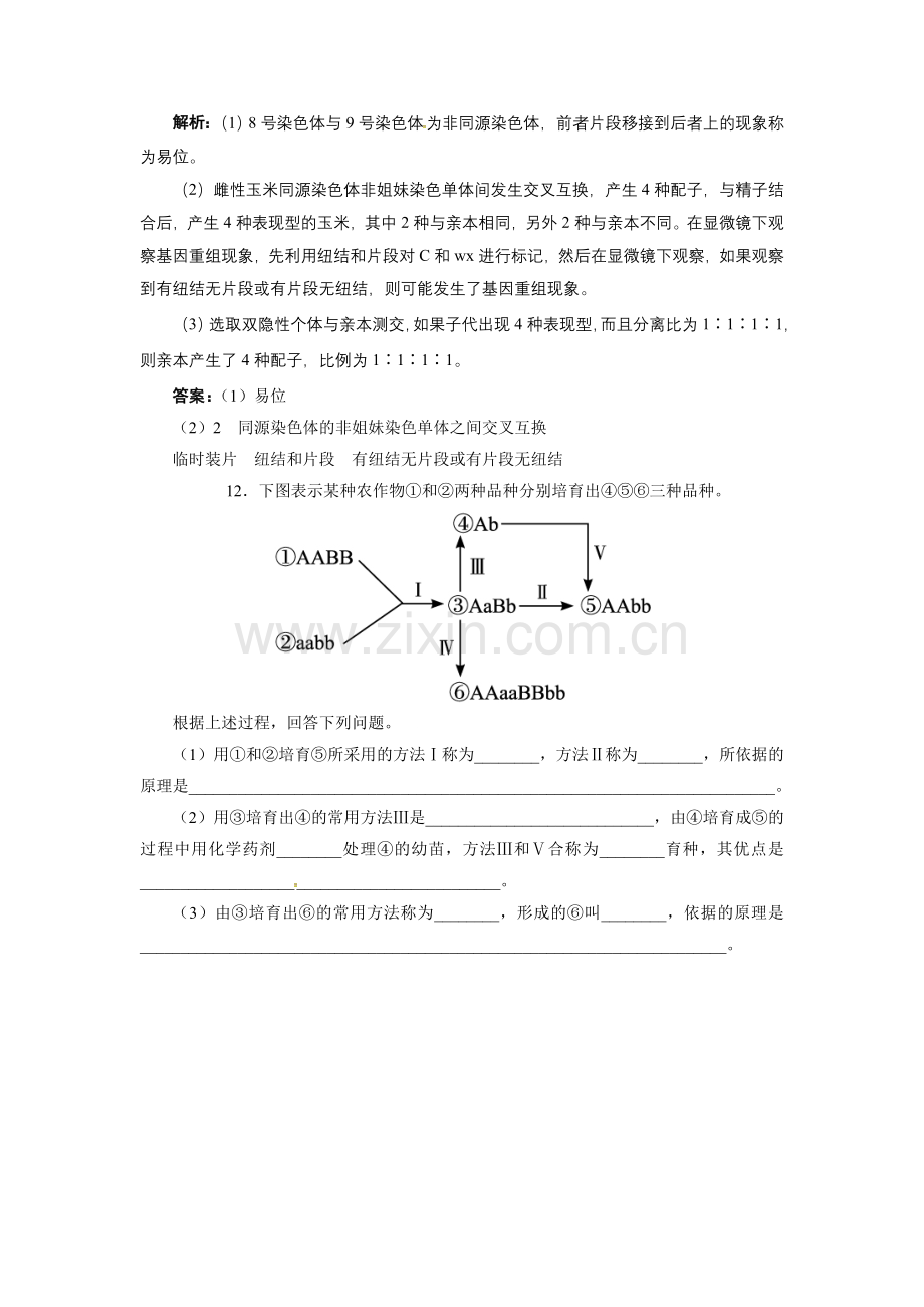 染色体变异测试.doc_第3页