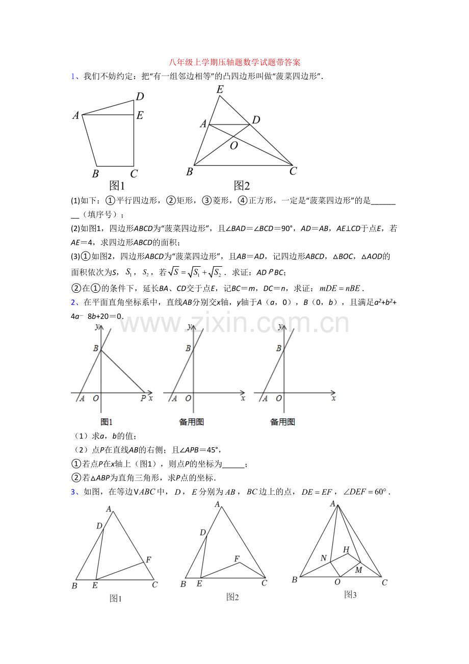 八年级上学期压轴题数学试题带答案.doc_第1页