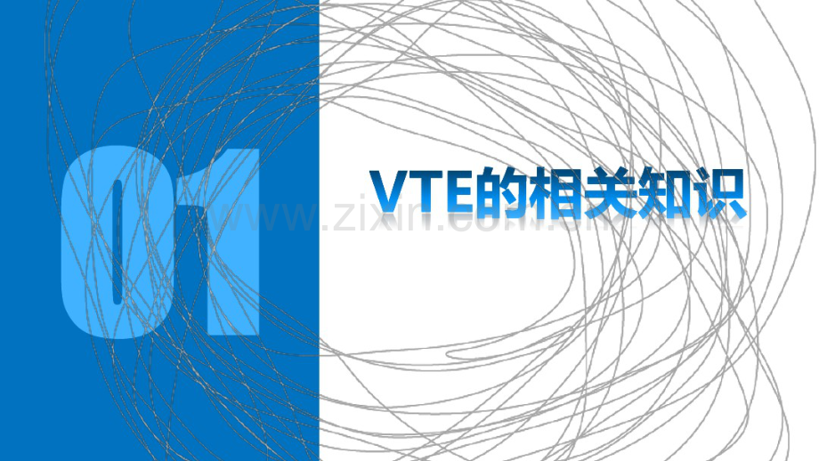 VTE的预防和护理.pdf_第3页