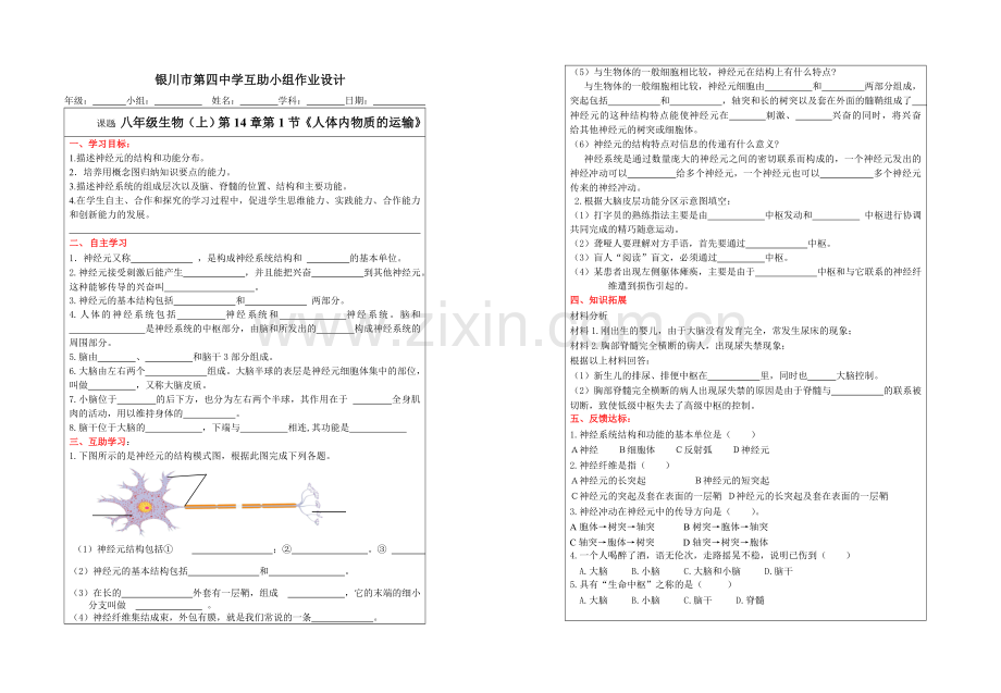 人体的神经调节互助作业.doc_第1页