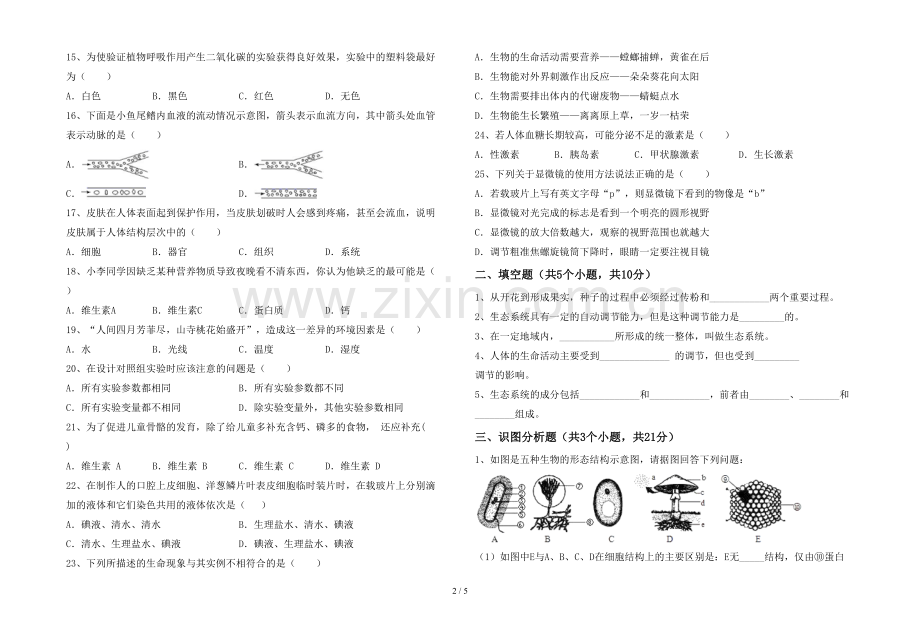 人教版七年级上册《生物》期末考试题.doc_第2页