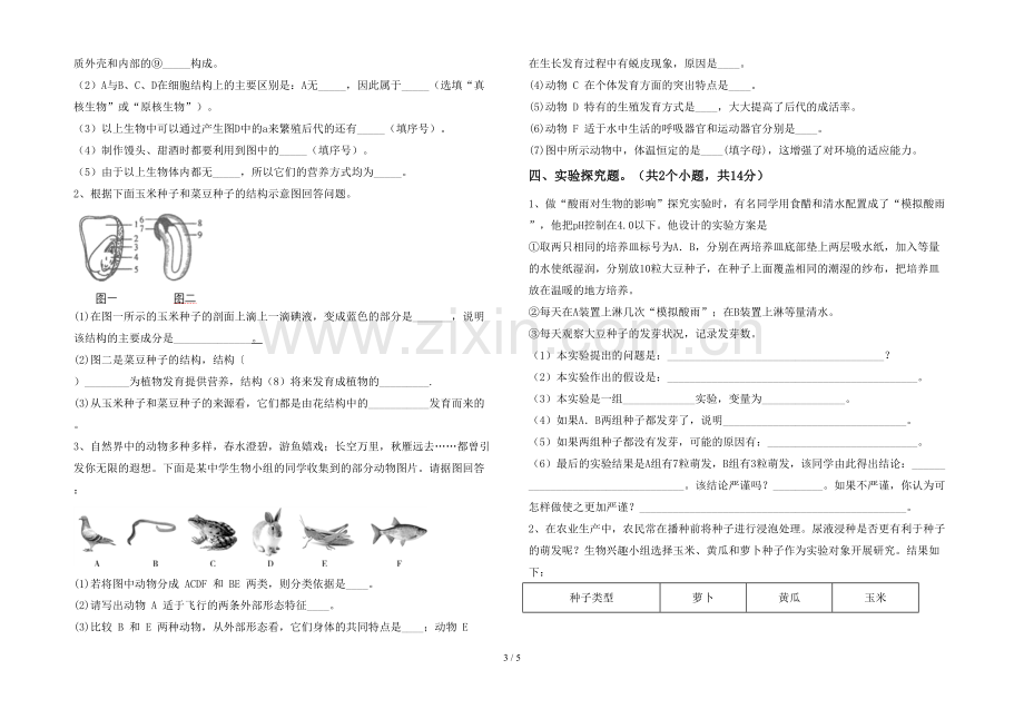 人教版七年级上册《生物》期末考试题.doc_第3页