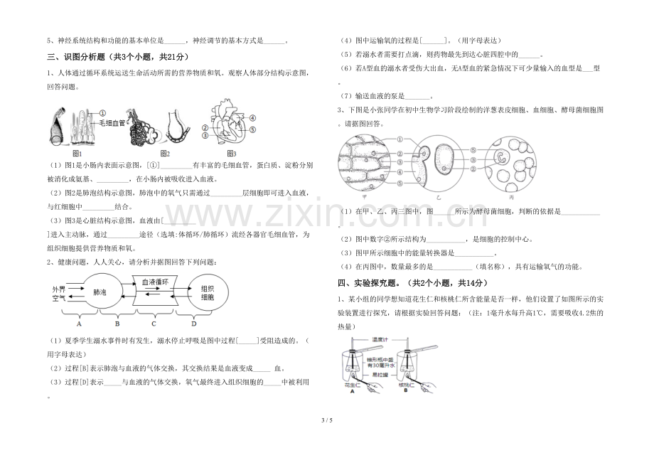 七年级生物上册期末模拟考试(及参考答案).doc_第3页