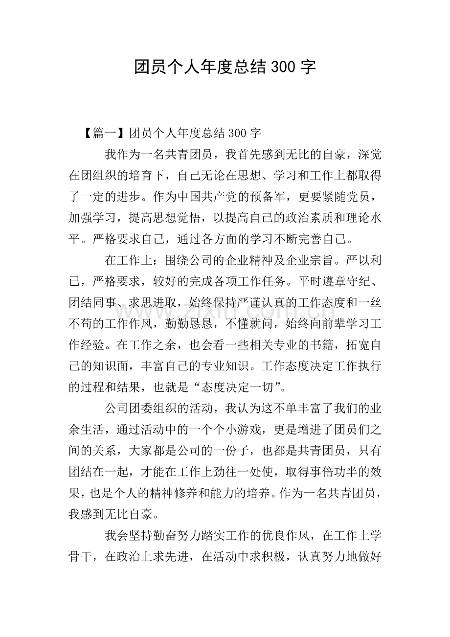 团员个人年度总结300字.doc_第1页