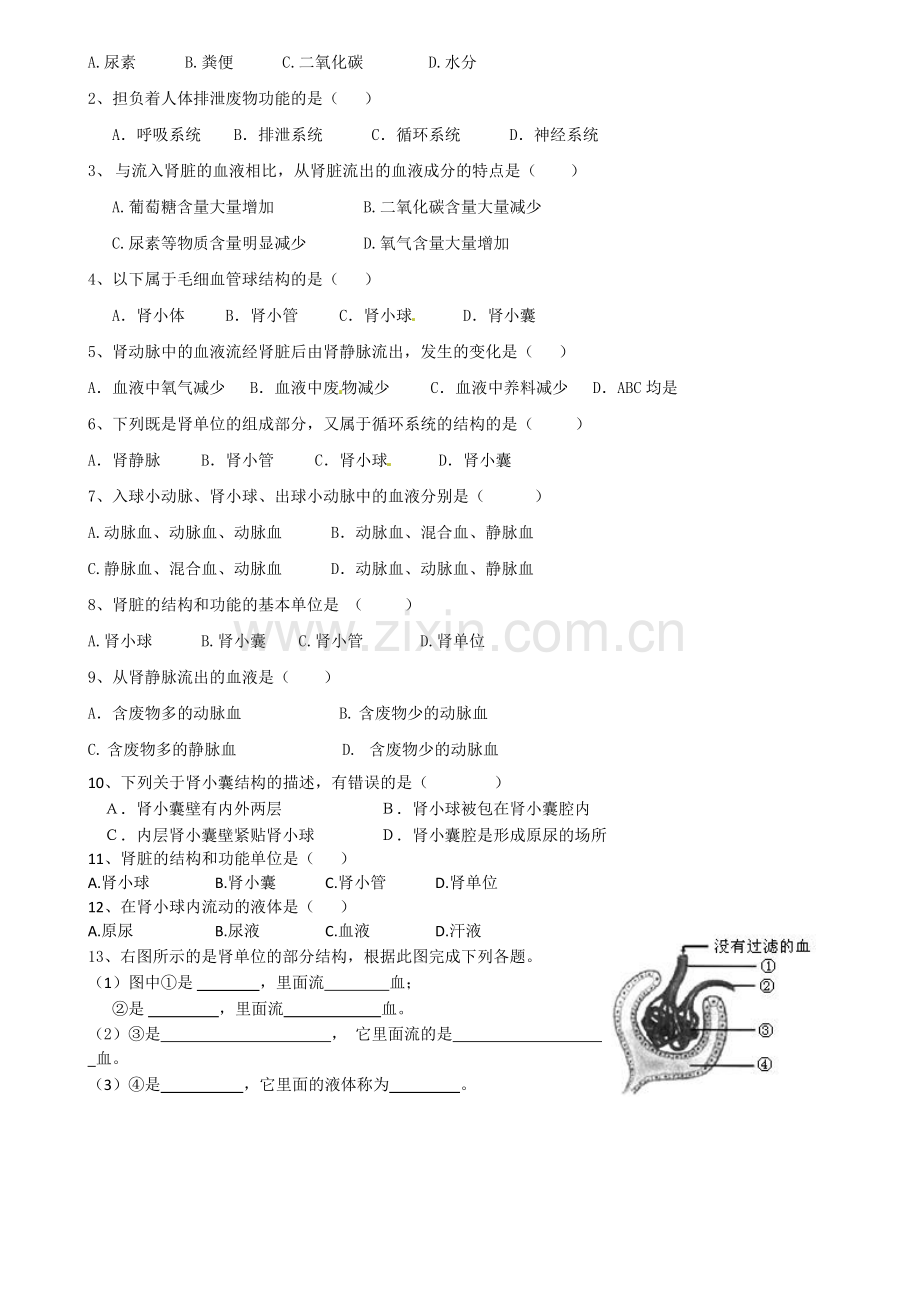 第二节尿液的形成和排出.doc_第2页