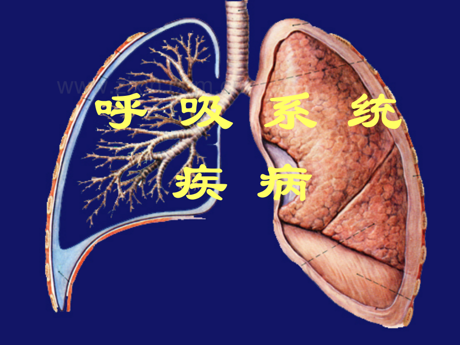 第七章 呼吸系统疾病.pdf_第1页