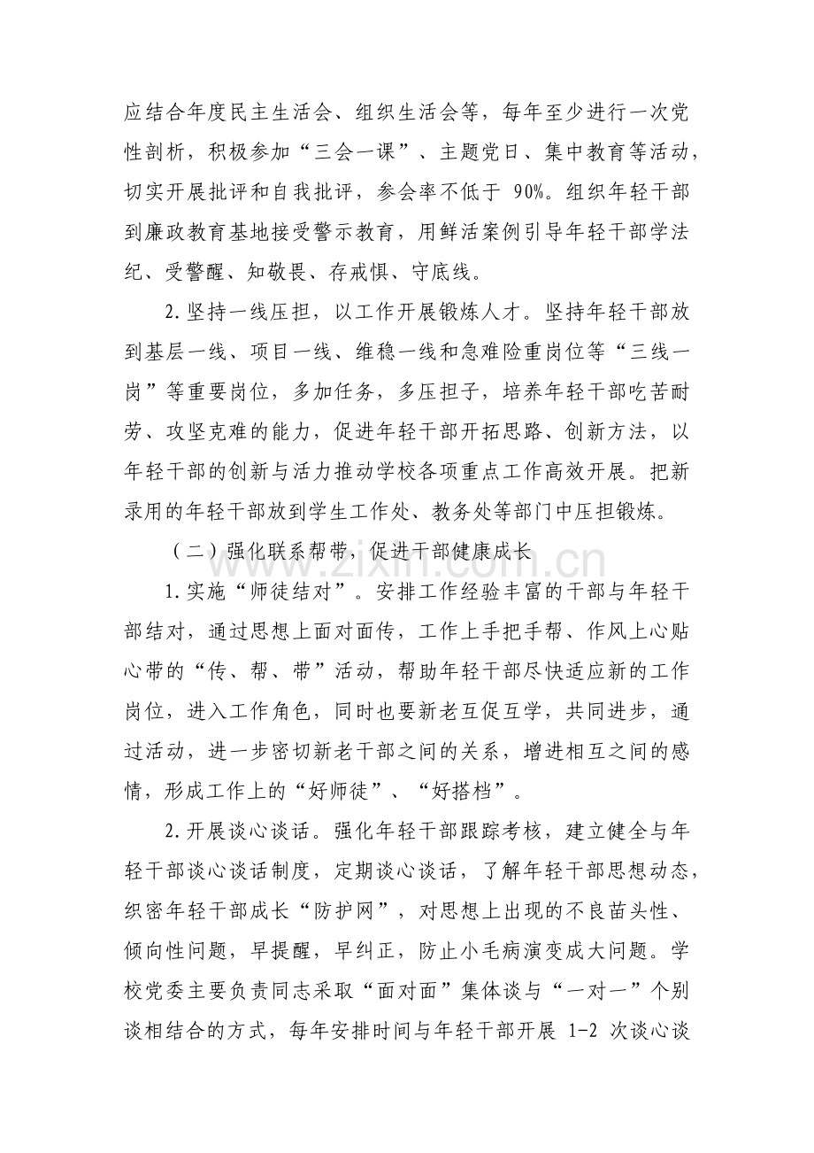 年轻干部培养管理办法范文(通用4篇).pdf_第2页