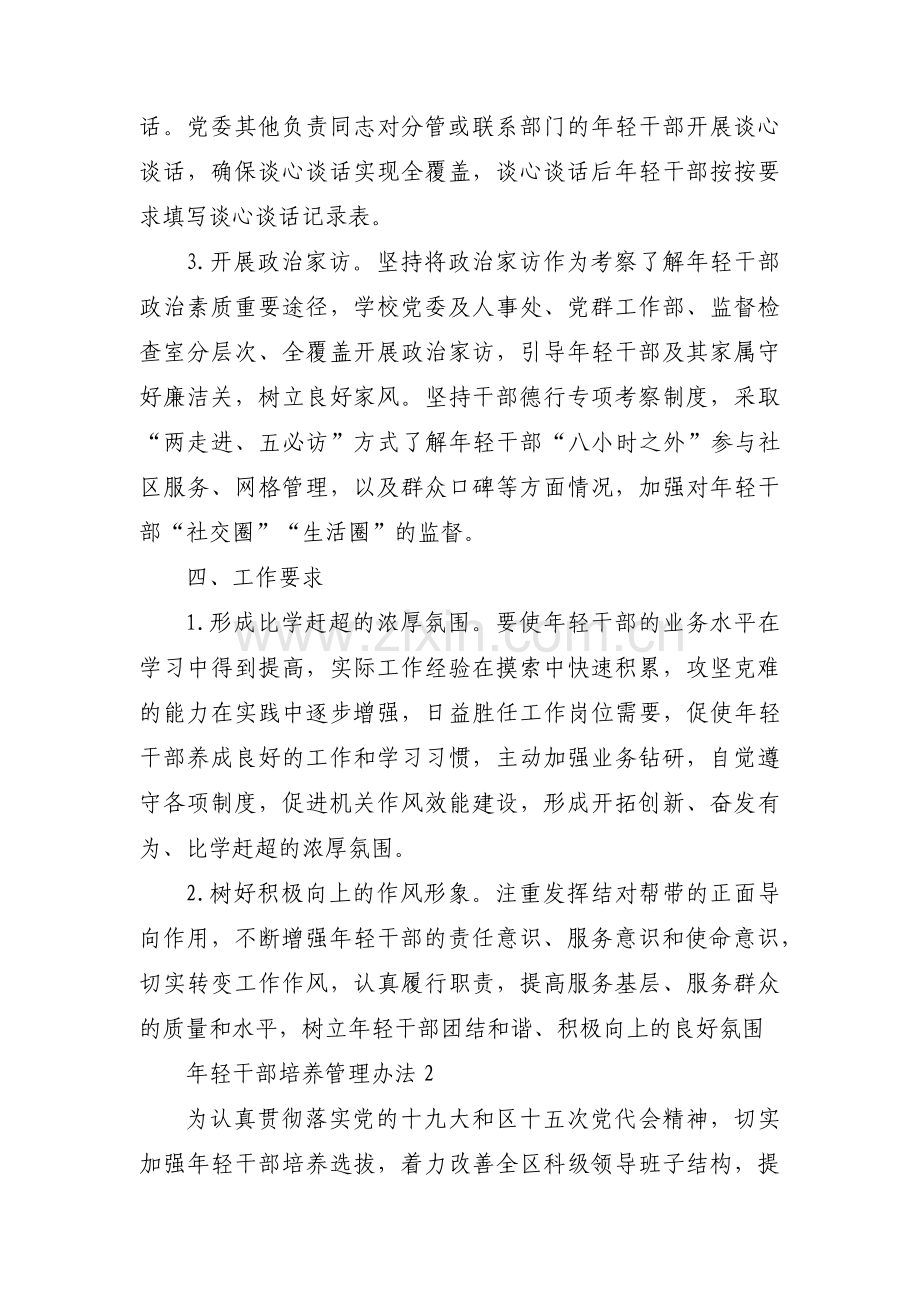 年轻干部培养管理办法范文(通用4篇).pdf_第3页