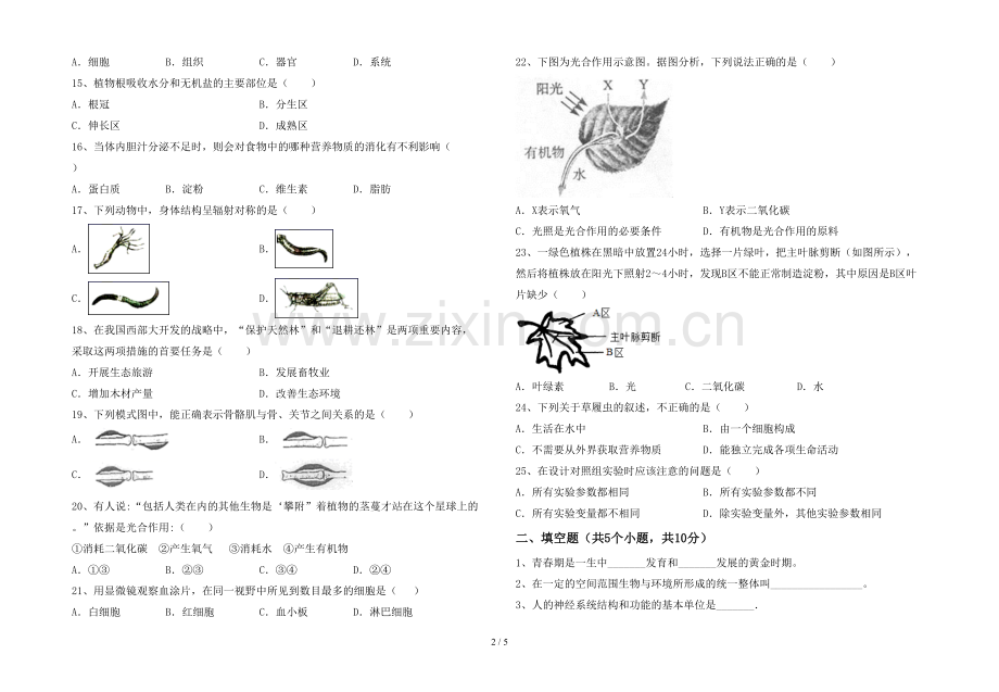 人教版七年级上册《生物》期末试卷及答案.doc_第2页