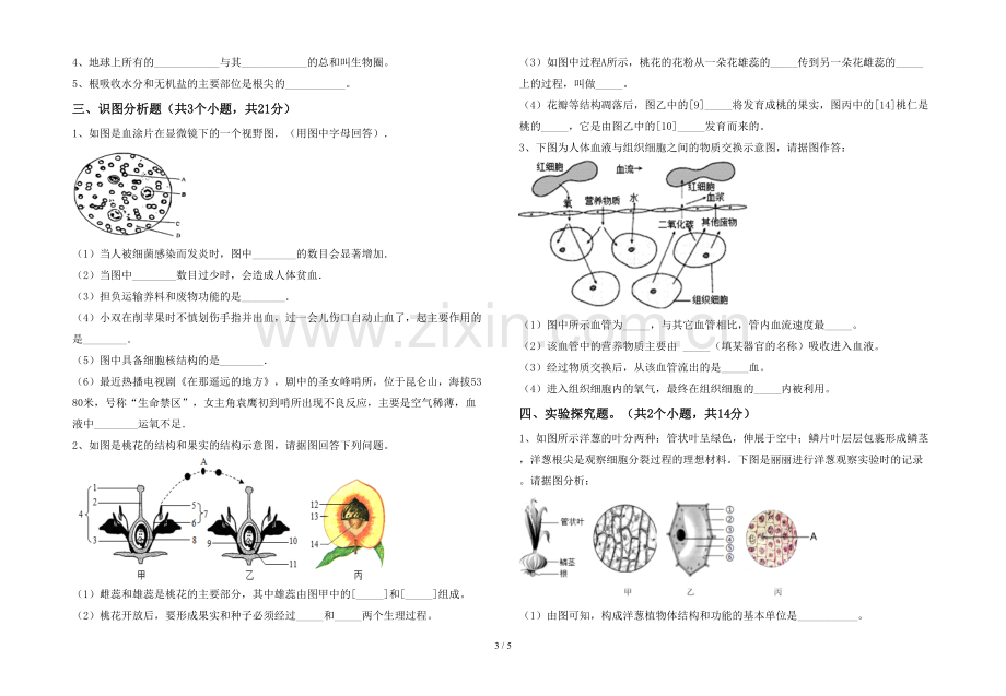 人教版七年级上册《生物》期末试卷及答案.doc_第3页