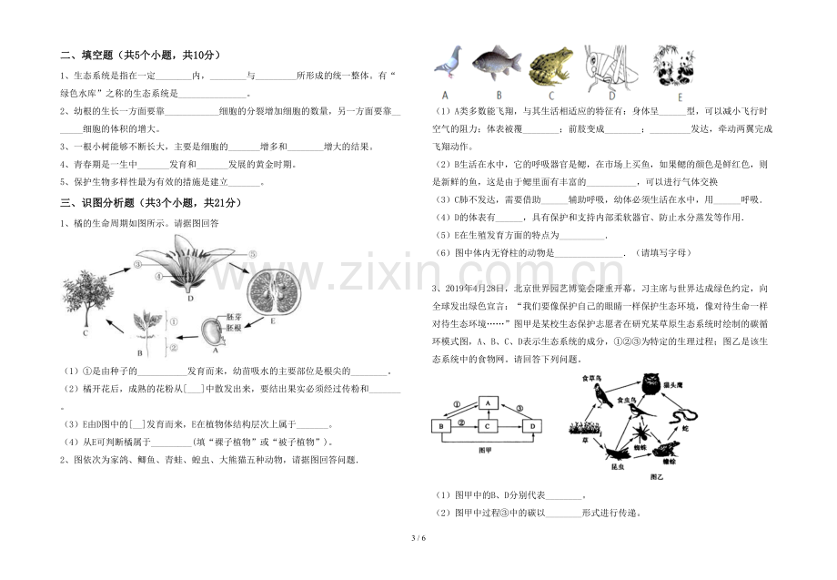 2023年苏教版七年级生物(上册)期末试题及答案一.doc_第3页