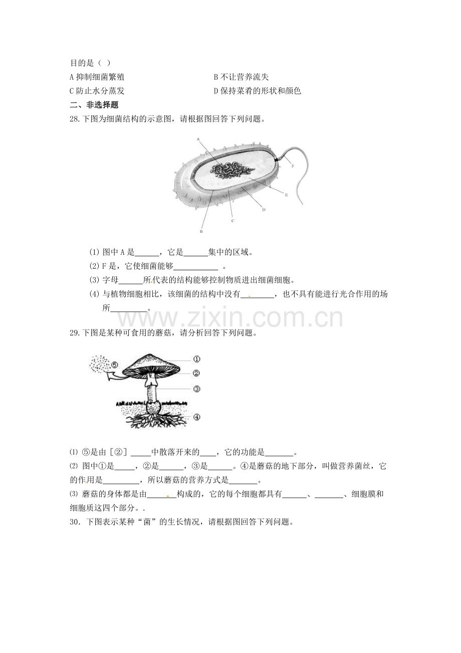 细菌和真菌在自然界中的作用检测题.doc_第3页