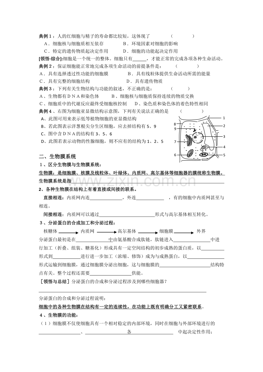 细胞核的结构和功能和生物膜系统.doc_第2页