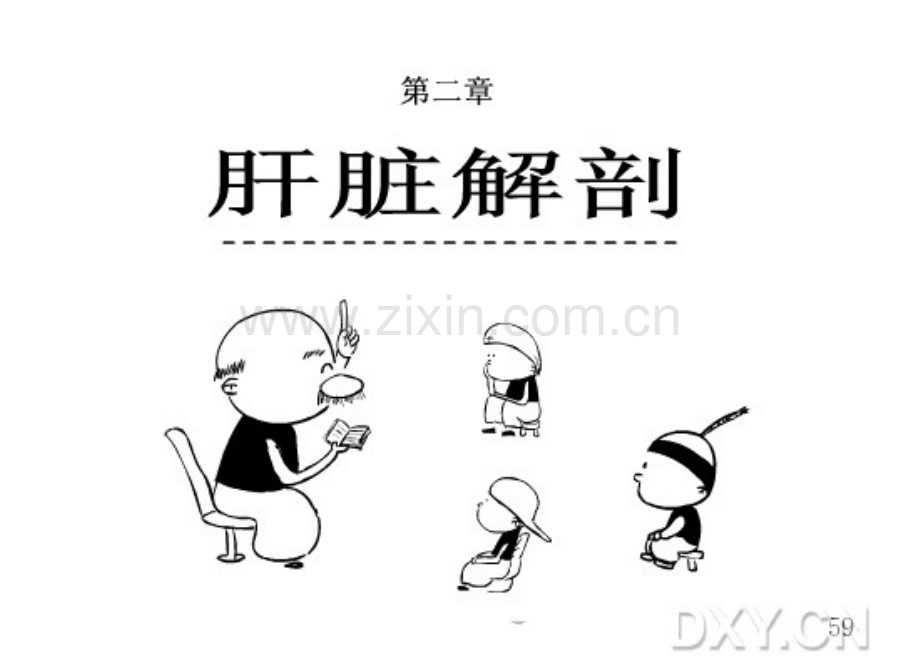 漫画肝脏解剖——肝脏解剖.pdf_第1页