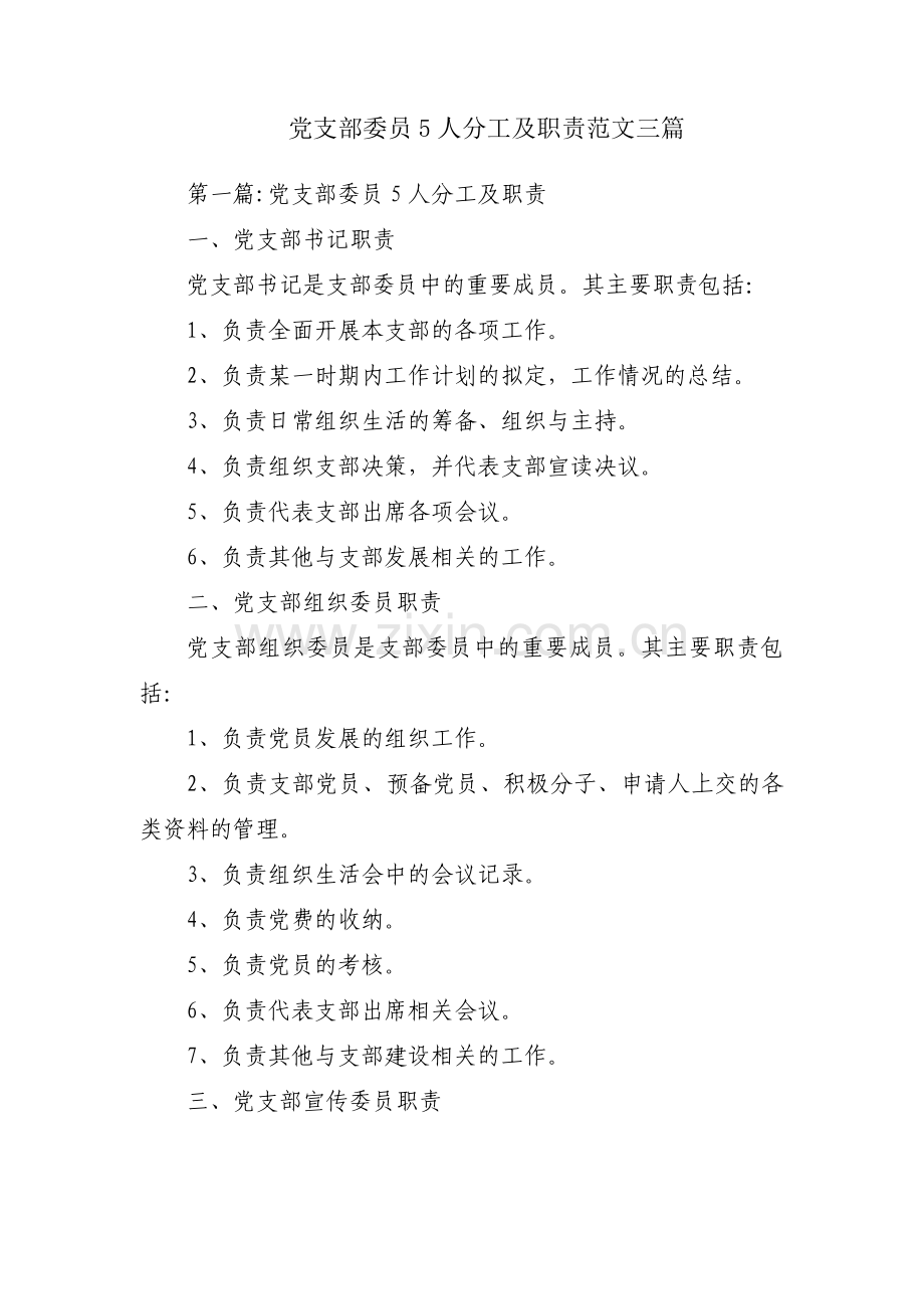 党支部委员5人分工及职责范文三篇.pdf_第1页