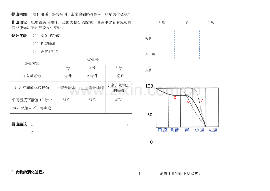 第三节人和动物的营养.docx_第2页